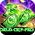 2024 t20 world cup King Latest v2.9.9