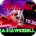 antigua hawksbill Master Pro v4.6.2