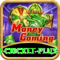 australian cricket Casino Plus v3.4.5