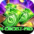australian cricket Gold v5.8.2