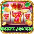 bangladesh cricket match VIP v1.8.2