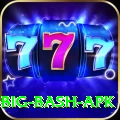 bbl big bash apk Turbo Pro v3.5.8