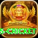 bet365 cricket Plus Pro v2.6.1