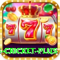 bet365 cricket Games Master