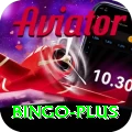bingo Pro1 v4.1.6