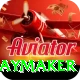 cam playmaker VIP Pro v4.3.2