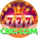 cric com Premium v1.3.3