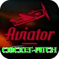 cricket pitch Plus Edition v1.6.8
