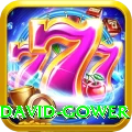 david gower Premium Plus v5.4.5