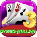 dawid malan Pro