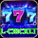 defending total cricket Ultimate v2.6.6