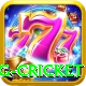 eng cricket Plus v3.1.7