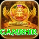 gautam gambhir Max Pro v2.0.7