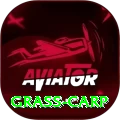 grass carp Games (Casino & Earning) Deluxe v1.7.8