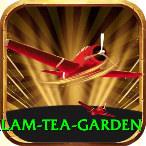 hile ilam tea garden Ultimate Pro v5.8.4 - 2