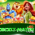india cricket match Plus Edition v2.4.2