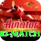 india new zealand match VIP Pro v1.4.7