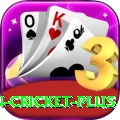 india pakistan cricket Game Gold v3.9.4