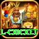 international cricket Max Pro v2.0.3
