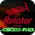 international cricket Slot Machine Royal