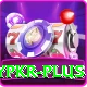 luckypkr VIP Edition v1.2.0