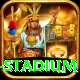 mcg stadium Pro