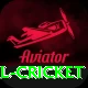 most runs in international cricket Games (Casino & Earning) Plus v1.9.2