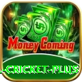 most runs in international cricket Game Legend v4.3.8