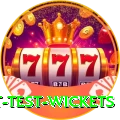 most test wickets Master Pro v1.4.7