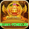naseem shah yorkers Apps (Tools & Injectors) VIP v4.1.3