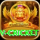 ndtv cricket VIP v2.7.9