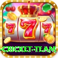 new zealand cricket team Apps (Tools & Injectors) Plus v3.2.8