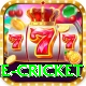 one cricket Premium Plus v1.8.1