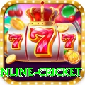 online cricket Deluxe Pro v4.8.8