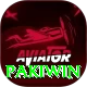 Pakiwin Pro v4.4.0
