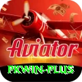 pkwin VIP Edition v3.3.5