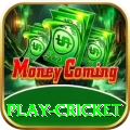 play cricket Turbo Pro v2.7.8