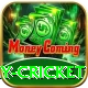 play cricket Turbo Pro v2.7.8