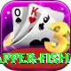 red snapper fish Plus Edition v5.4.0