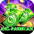 responsible gambling pakistan Max v4.7.1
