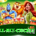 risk free bet cricket Deluxe Edition v3.8.8