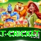 risk free bet cricket Deluxe Edition v3.8.8