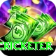 shahrukh khan cricketer Max v5.5.7
