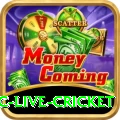 smartcric live cricket Games (Casino & Earning) Max v1.9.3