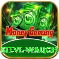 steve waugh Elite Pro v2.8.1