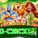 t20 cricket Premium Plus v5.2.9