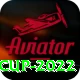 t20 world cup 2022 Pro1 v2.1.5