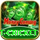 test cricket Deluxe Pro v4.2.6