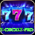 test cricket Slots Max v3.5.1