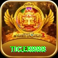 tiger888 Premium Plus vv3.4.7